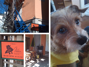 建物外観とスタッフ犬