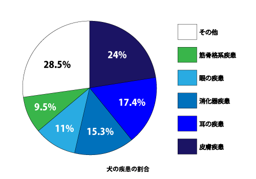 犬の疾病の割合