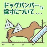 ドッグバンパーの採寸について